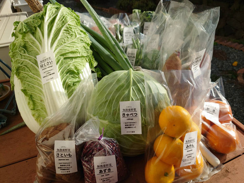 おさだ農園の野菜の宝箱（お野菜7品目以上）　栄養満点満腹セット　100サイズ