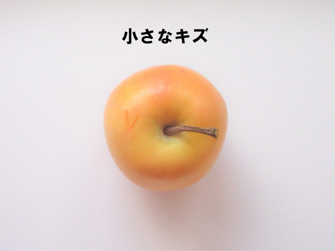 【超希少品種！】果肉まで赤～いりんご「御所川原（ごしょがわら）」B品不揃い（2.2kg強)