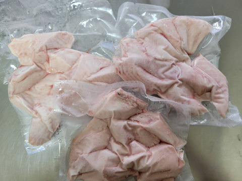 ヨコ(クロマグロの子供)刺身、唐揚げ用少量BOX