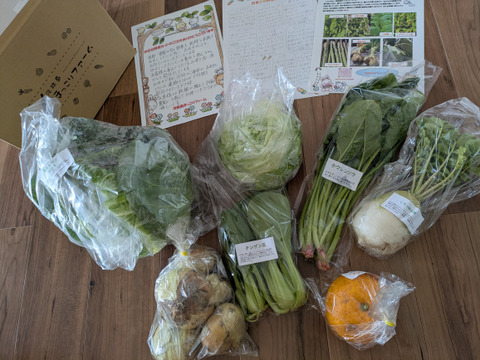 【淡路島より旬をお届け】お任せ野菜セットSサイズ