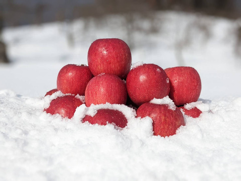 【雪中貯蔵りんご】ふじ 家庭用 酸味が抜けて甘〜い 春にお届け 農薬60％減 3kg