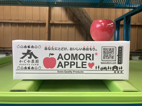 【令和7年１月大雪被害200円寄付】【夜市限定】【一玉3,000円の極上りんご！】約３キロ 青森県産りんご「樹上完熟葉とらずふじ」上実・贈答用【冬ギフト】
