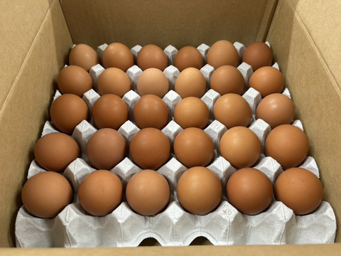 訳あり平飼い卵30個(たまごトレー)