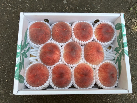 夏のギフト・7月下旬】かたい桃「おどろき」約3kg・9～12玉1箱