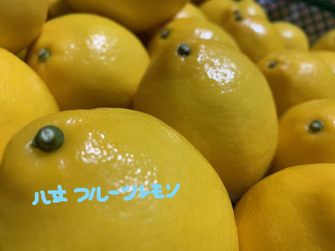 八丈フルーツレモン　ノーワックス　東京都GAP取得！　2キロＳサイズ