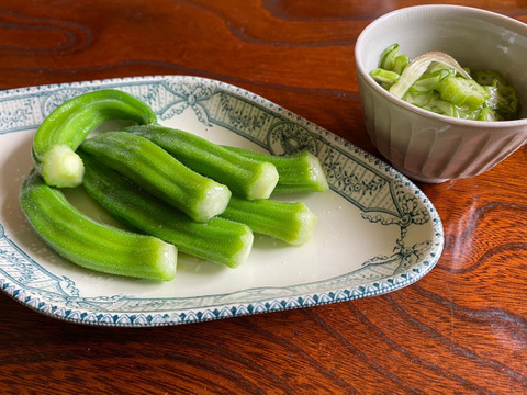 【自然栽培】オクラ 500g ししとう（伏見甘長唐辛子）500g セット