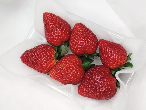 ちょっとお得　日にち指定なしで頼む「とちあいか」(特大)200〜230g(4〜7粒)×4p