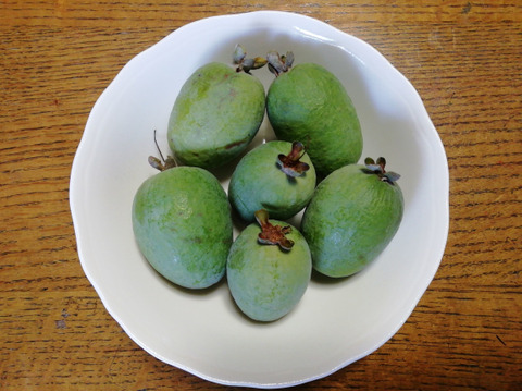 農薬 化学肥料不使用 野菜セット 9種類前後の野菜 フェイジョア 6個前後 付き 60サイズ箱 愛媛県産 食べチョク 農家 漁師の産直ネット通販 旬の食材を生産者直送 農薬 化学肥料不使用 野菜セット 9種類前後の野菜 フェイジョア 6個前後 付き 60サイズ箱 愛媛県産 食べチョク 農家 漁師の産直ネット通販 旬の食材を生産者直送