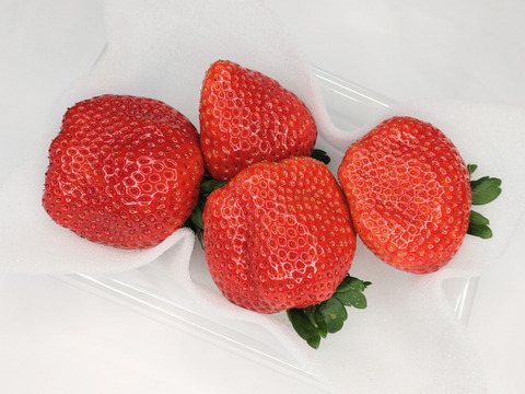 ちょっとお得　日にち指定なしで頼む「とちあいか」(特大)200〜230g(4〜7粒)×4p