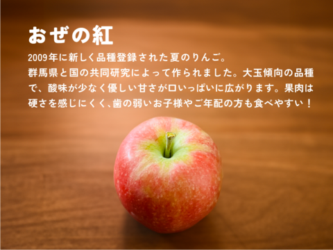 【新グンマーリンゴ】おぜの紅  3キロ箱 6玉〜15玉サイズ商品ID162360 長野県 信州 安曇野 リンゴ 幻 幻のリンゴ 予約 希少 旬