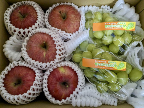 長野県産シャイン・サンふじセット2.8kg