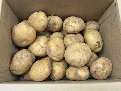 【新じゃが】キタアカリM・L混合箱込約10kg｜バイク屋が森を耕し育てた自慢の味