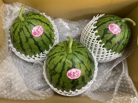 こだますいか様 こだますいか様 リクエスト 3点 まとめ商品 こだますいか様 リクエスト