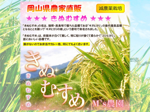 4種食べ比べセット！キヌムスメ・にこまる・ミルキークイーン・にじのきらめき 2026年産「岡山県産お米」２kg×４個セット