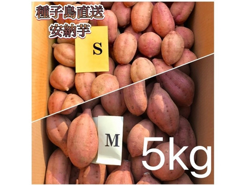 【絶品】aimo農園｜種子島産 安納芋 S&M 混合5kg(箱別)