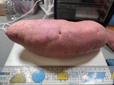 鳥取大山の麓 甘い芋 紅はるか 強めのホクホク食感 大小詰合せセット 内容量3.0kg 女性のパワーで大地を彩る