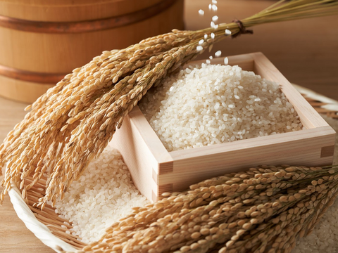 💡一流リゾートホテル御用達💡二千年の伝統に裏打ちされた幻の天照ブランド米【お試し特価キャンペーン約2㎏】2月中旬発送