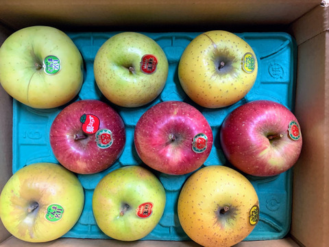 【晩生種】🍏🍎おうちで食べたい🍏🍎ジューシー◆甘さが違う！葉とらず入り品種ミックス🍎お家用３キロ