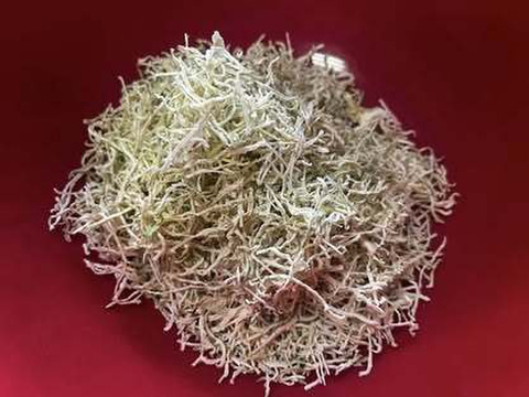 お手軽酵素！【乾燥＊青パパイヤ】細切り２０ｇ