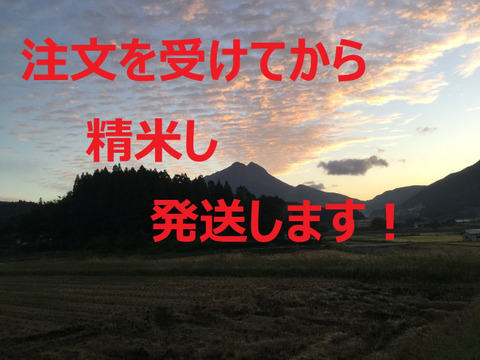 令和6年新米】ゆふいんのめぐみ“コシヒカリ白米10kg”：大分県産