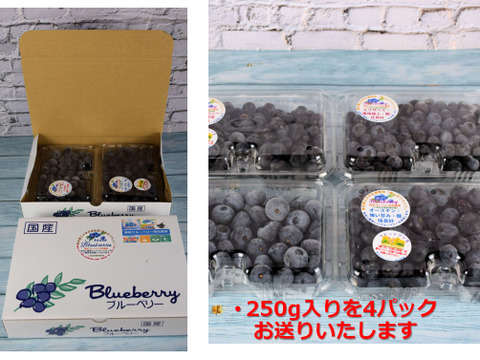 完熟手摘み選別した新鮮ブルーベリー１Kg ：ノーザン・サザン系（250gの4パック）：数粒まとめて頬張り、完熟ならではの、口の中で弾ける『果汁のシャワー』をぜひご体験ください！