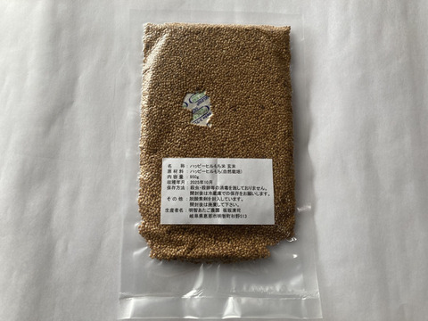 【金ごま】（生・洗いごま・未焙煎）100g×5p　農薬不使用・化学肥料不使用　令和７年　岐阜県産【クリックポスト発送】