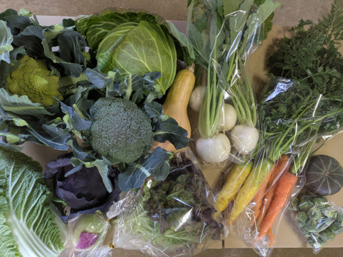 ❄☃️５品冬の野菜セット☃️❄