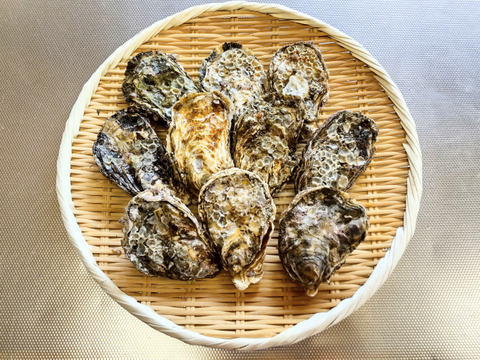 海鮮の福袋 シェアもできます 食べ尽くし プリプリ牡蠣の大満足バラエティセット 生食用むき身牡蠣 加熱用殻付き牡蠣 こだわり鍋のもと 広島県産の貝類 食べチョク 産地直送 産直 お取り寄せ通販 農家 漁師から旬の食材を直送