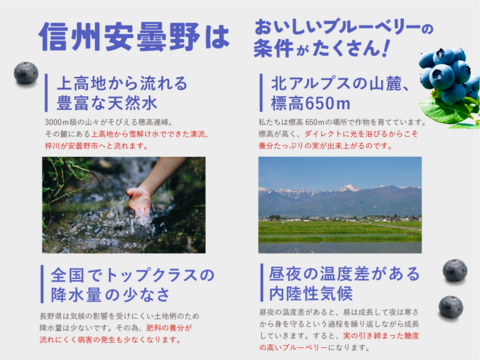 【食べチョク高評価No.1】ブルーベリー約1キロ【栽培期間中農薬不使用】大小ミックス 商品ID40461  旬 生食用 加工用 ベリー 果物 ギフト 贈答 家庭用 予約 6月 7月