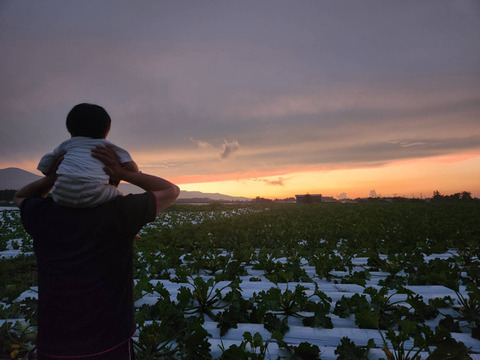 八ヶ岳高原の恵み満載！新鮮野菜5種詰め合わせセット