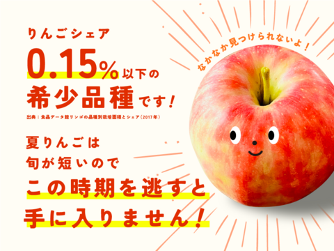 🍎幻の夏りんご🍎夏あかり 3キロ箱 小玉品種〜18玉 商品ID40928 長野県 信州 安曇野 リンゴ 幻 幻のリンゴ 予約 希少 旬