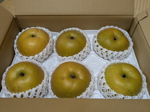 幸水　６～7玉【シャキッ！と食感♪】甘くてさっぱりな梨♪　福岡県産
　発送は７月下旬頃～8月上旬　お中元にもピッタリ！