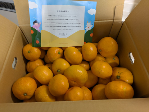 ★濃厚なコクと酸味がおいしい！有田みかん★自家製堆肥栽培★定番5kg★和歌山★