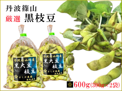 丹波篠山 黒枝豆 600g( 300g × 2袋 ) 【令和7年新豆・予約販売】 産地直送 期間限定 贈答用にも最適 大粒 最高級 さや 枝豆 毎年完売 今しか味わえない 丹波篠山の黒枝豆 数量限定