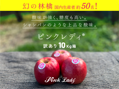 🎊発送中🎊【ヒルナンデスでました！】ピンクレディー®︎ 10キロ訳あり品 加工用にご利用ください！長野県 信州 安曇野 リンゴ 幻 幻のリンゴ 予約 希少 旬 ID62476