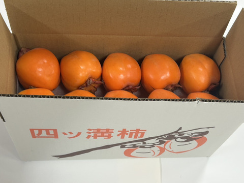 《希少》四ッ溝柿 （抜き柿 16〜20個）