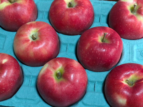 おぜの紅（くれない）約2.7kg