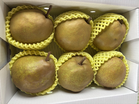 まるせい果樹園のラ･フランス　2kg箱　玉数指定不可　nr4