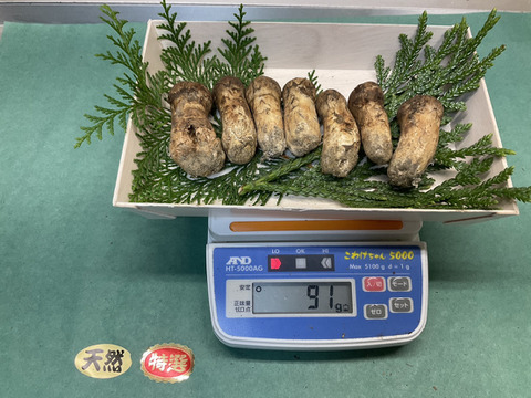 松茸　北海道　300g ⑤ 国産 楽天市場】松茸 300gの通販