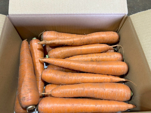 自然の甘みがぎゅっと詰まった！農薬不使用にんじん 10kg（農薬・化学肥料・除草剤・防虫剤不使用／家庭用サイズ）