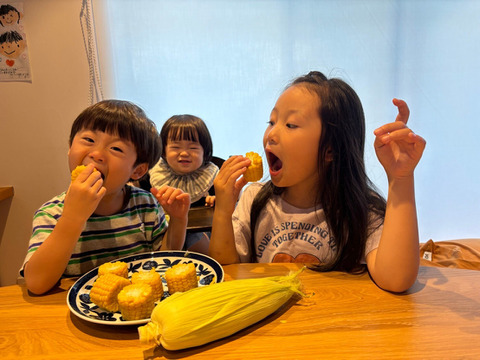 朝穫れ！プリあま大粒とうもろこし【農薬化学肥料不使用】2キロ6本