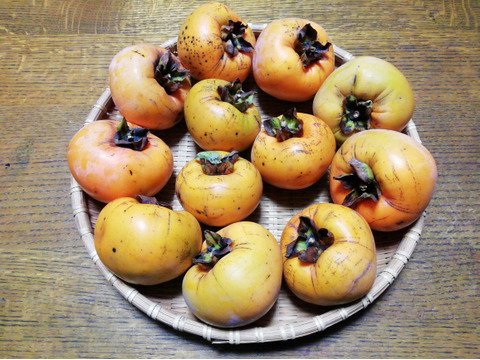 完熟　富有柿(２㎏前後)【農薬化学肥料不使用】【熨斗(のし)対応可】