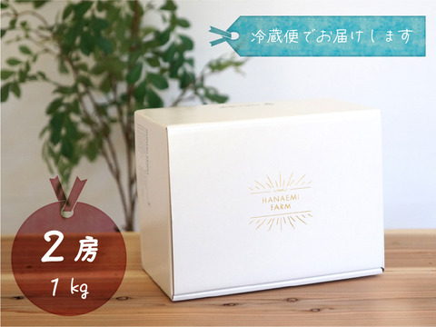 花笑み農園　岡山のBKシードレス＆シャインマスカット食べ比べ　1kg【9/21～順次発送】BS-1