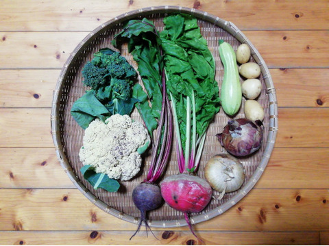 農薬 化学肥料不使用 クールで対応 野菜セット 必ずビーツ入り ６ ８種類の野菜 ８０サイズ箱 愛媛県産 食べチョク 農家 漁師の産直ネット通販 旬の食材を生産者直送