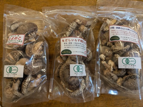 【夜市限定】山の産物セット（戻しいらずの干し椎茸　大分産　どんこ（肉厚）１００ｇ、中肉9０ｇ、小粒の１００ｇ入り３袋　ビタミンDと食物繊維が豊富）