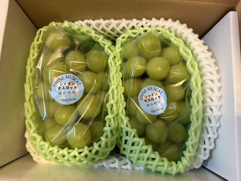 【葡萄好き園主が作る】こだわり栽培シャインマスカット2房 約1.0kg  優品ランク 岡山県産(熨斗対応可)