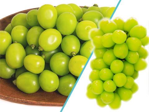 花笑み農園　岡山の訳ありシャインマスカット1kg【9/18～順次発送】WS-1