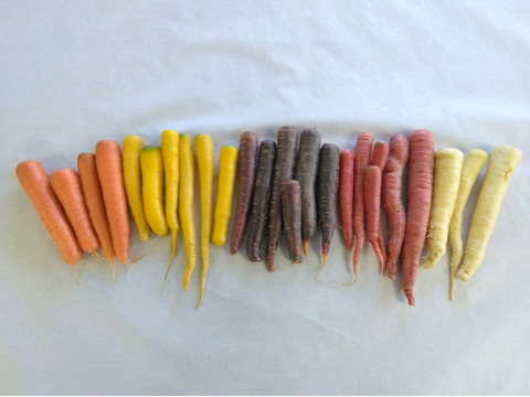 3kg🥕元気な彩り！食卓が盛り上がる！カラフルにんじん《農薬・化学肥料不使用》