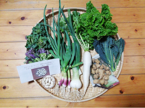 【農薬・化学肥料不使用】【クールで対応】野菜セット【グリーンカーテン用ナタマメ種子付き(栽培説明書付き)】【5~7種類の野菜】【60サイズ箱】