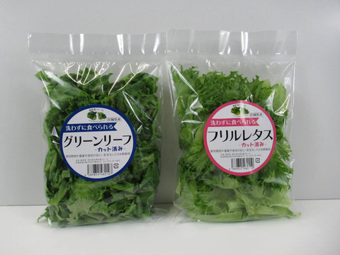 【中容量】贈答用にも！洗わずに食べられるレタス7点セット（720ｇ）